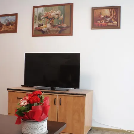Luxury Piata Unirii Appartement