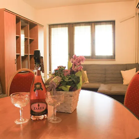 公寓 Luxury Piata Unirii